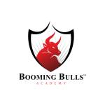 Booming Bulls Academy profile picture