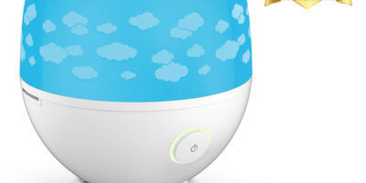 Why Every Home Needs a Humidifier: Exclusive Options Available at Chiico