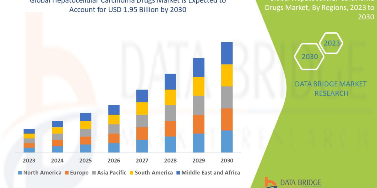 Hepatocellular Carcinoma Drugs Market Rises with Advances in Cancer Treatment