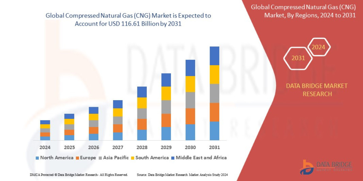 Compressed Natural Gas Market: A Sustainable Energy Alternative for the Future