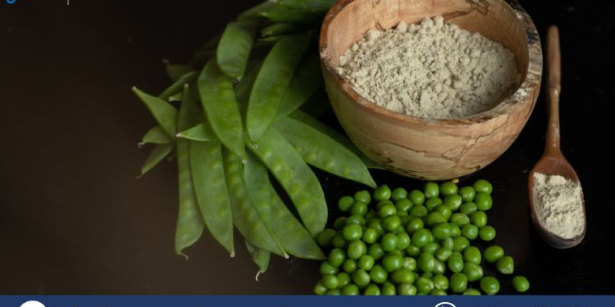 Pea Protein Market Share, Growth, Trends & Insights by 2034