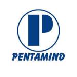 pentamind Profile Picture